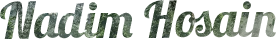 Nadim Hosain